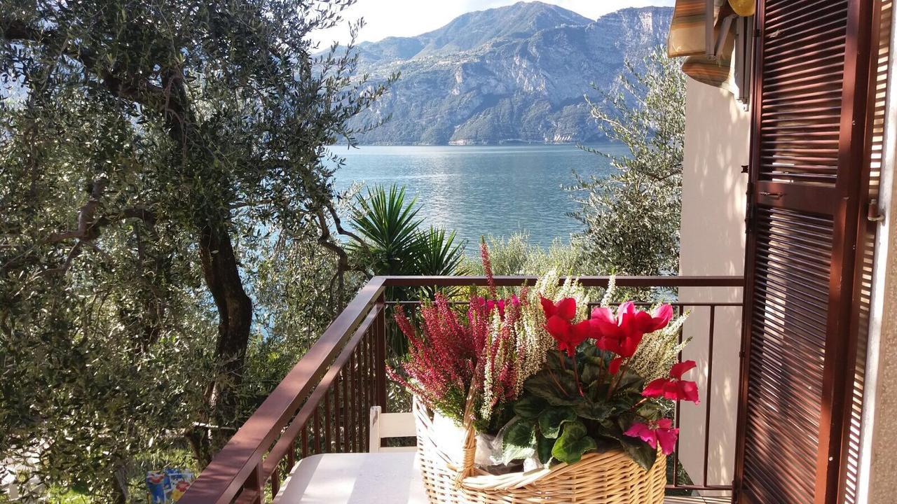 La Virgola Apartments Brenzone Extérieur photo